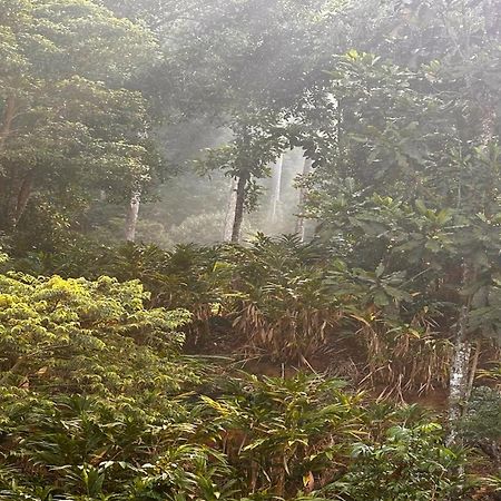 Falling Waters Munnar Dış mekan fotoğraf