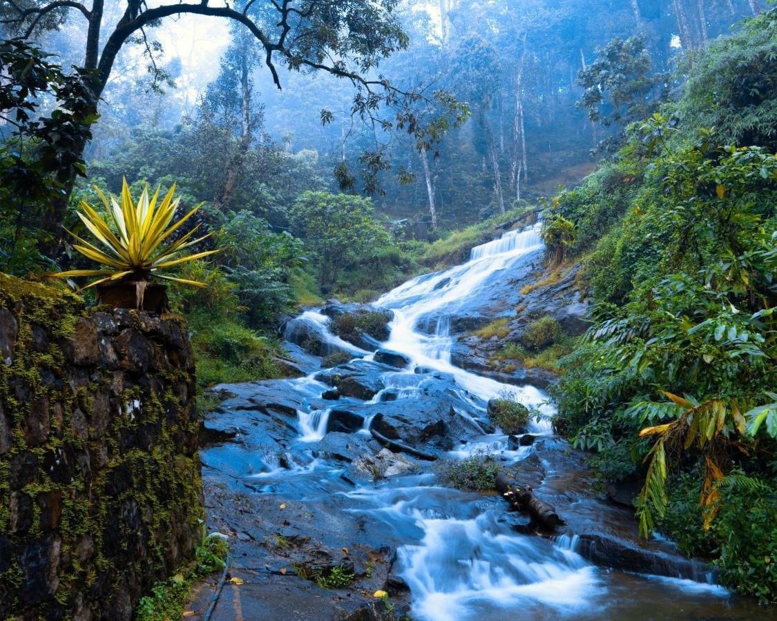 Falling Waters Munnar Dış mekan fotoğraf