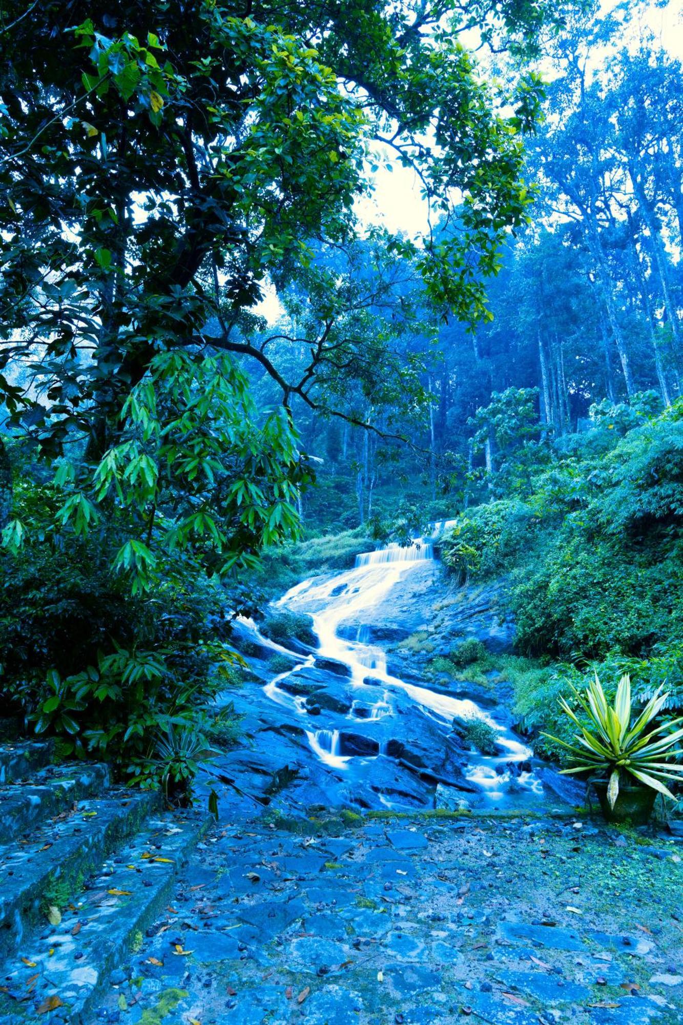 Falling Waters Munnar Dış mekan fotoğraf