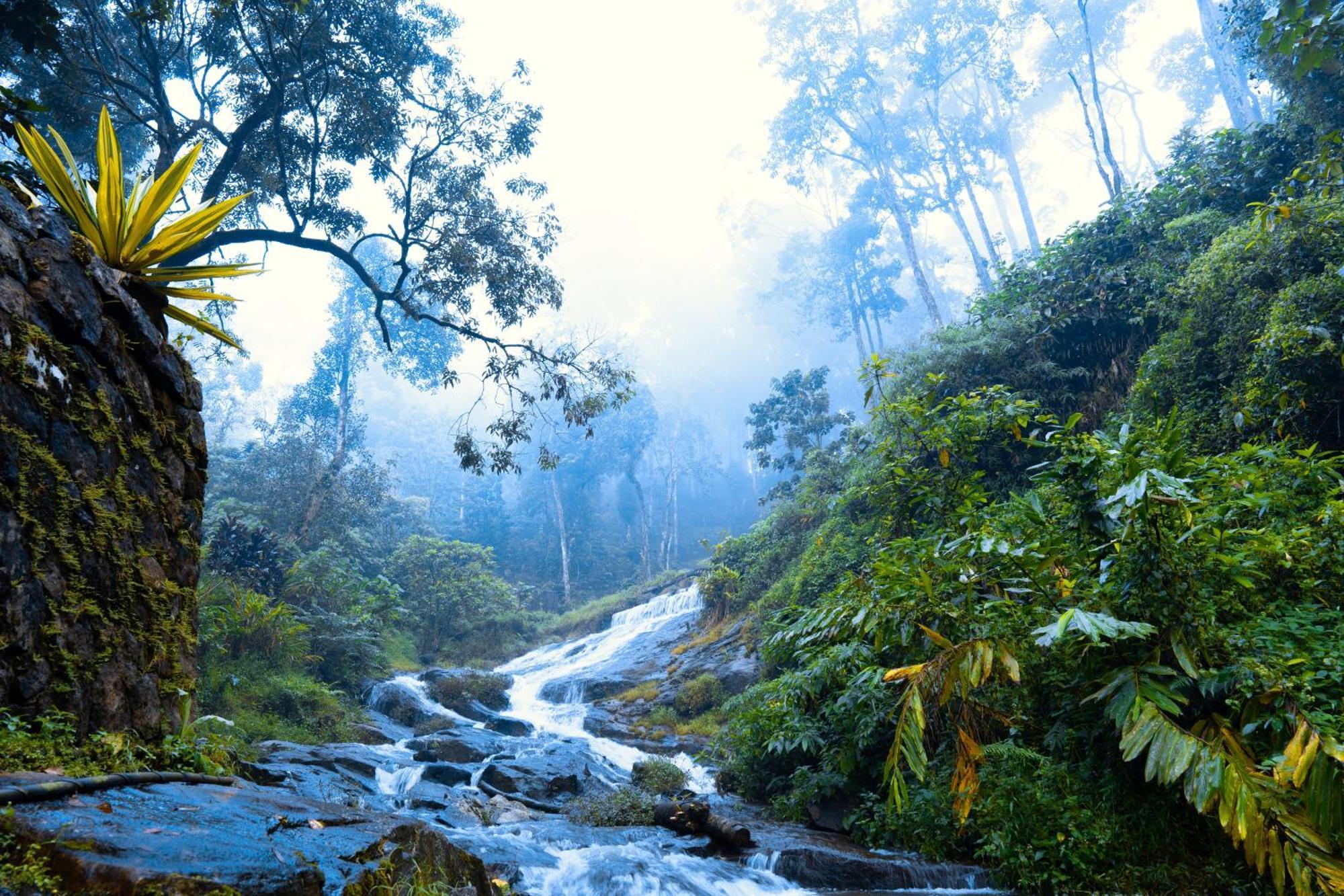 Falling Waters Munnar Dış mekan fotoğraf
