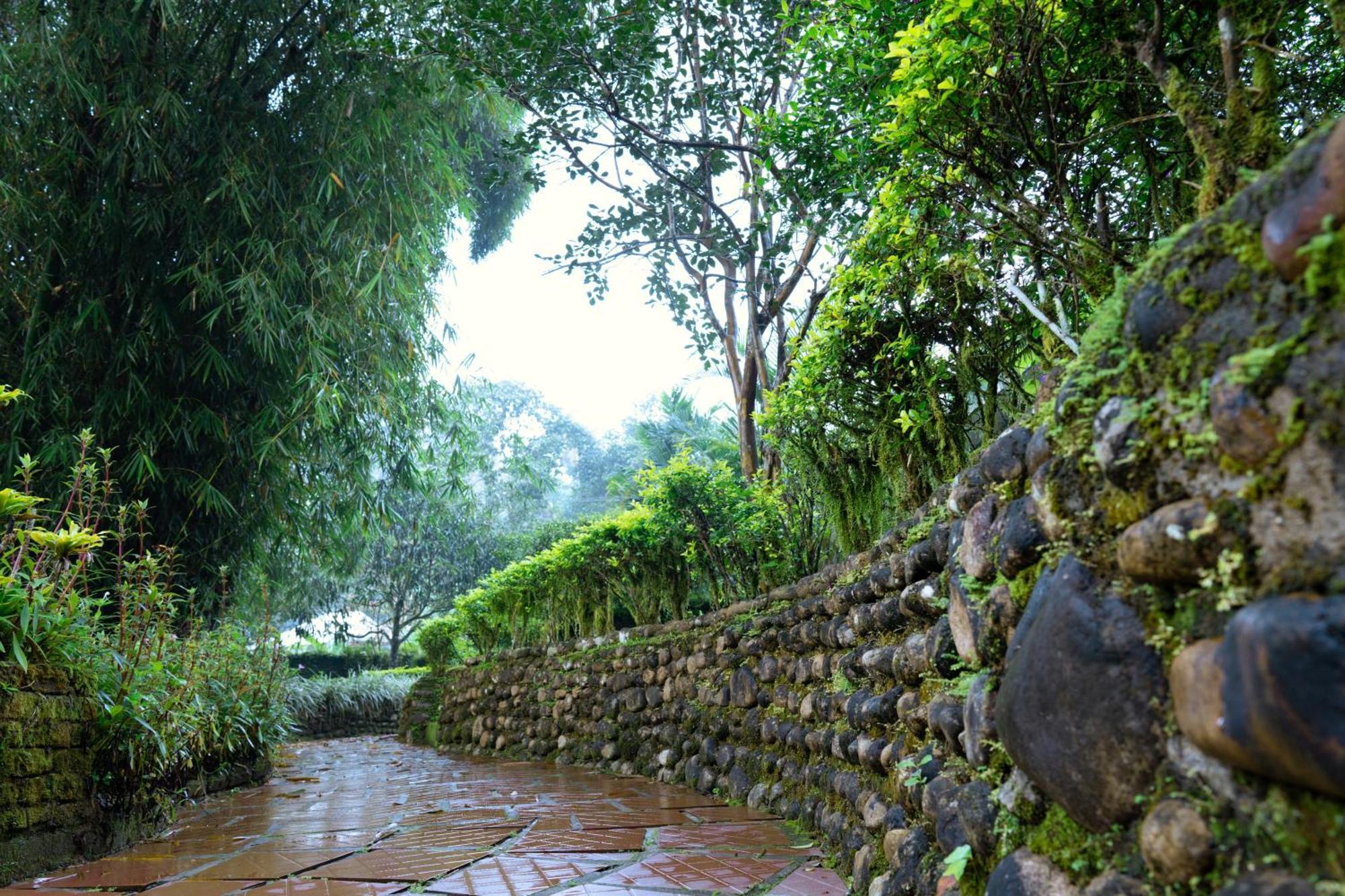 Falling Waters Munnar Dış mekan fotoğraf